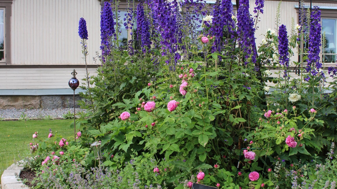 Photo of Outdoor in Orsundsbro