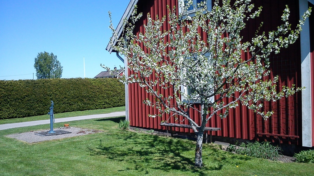 Photo of Outdoor in Alvesta