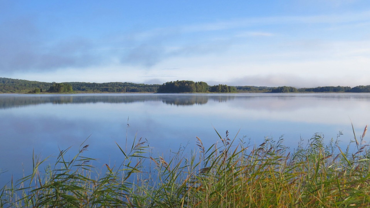Photo of Others in Åmål
