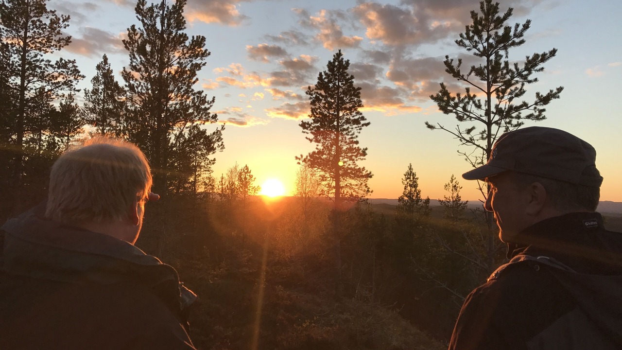 Photo of Others in Dalarna County