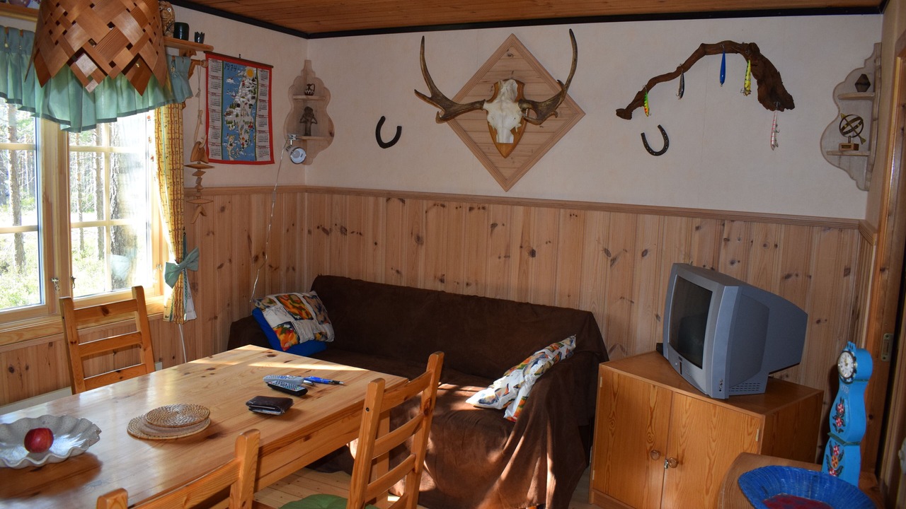 Photo of Livingroom in Dalarna County