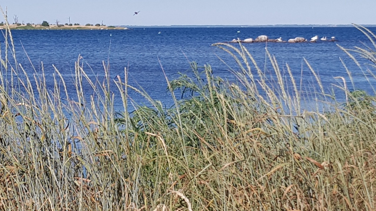 Photo of Outdoor in Torsas Municipality