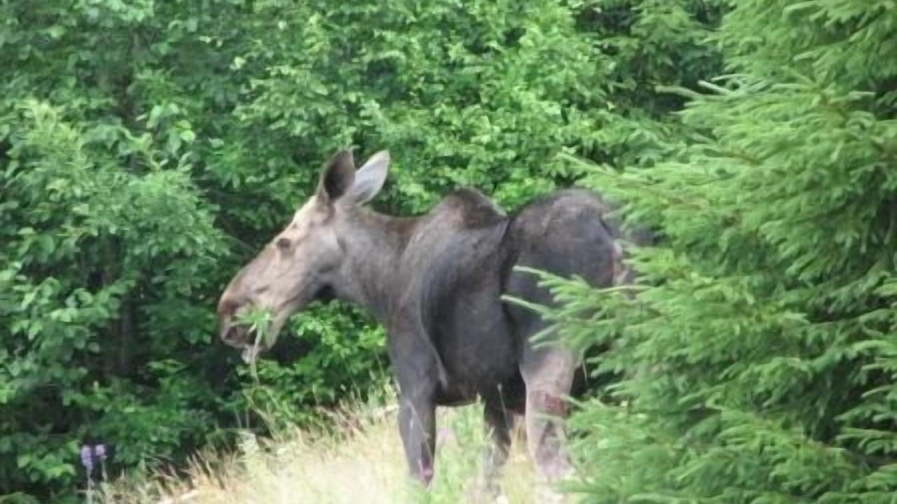 Photo of Outdoor in Syssleback