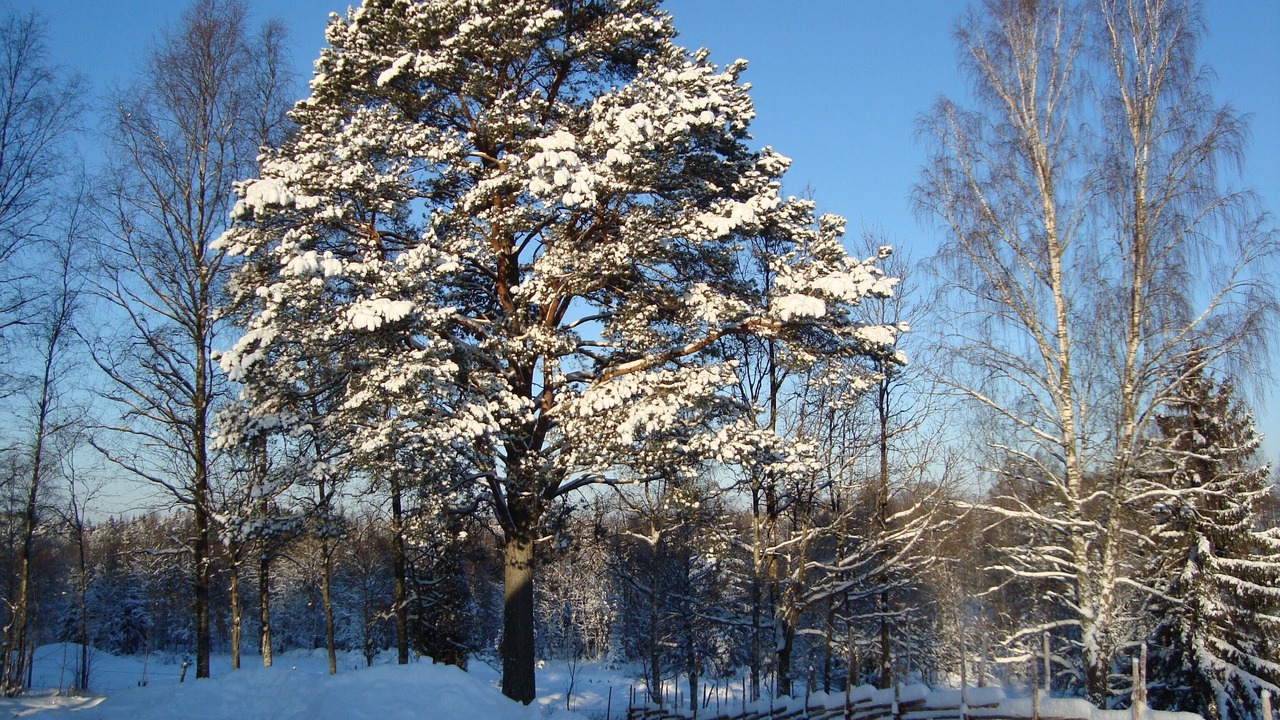 Photo of Outdoor in Savsjo Municipality