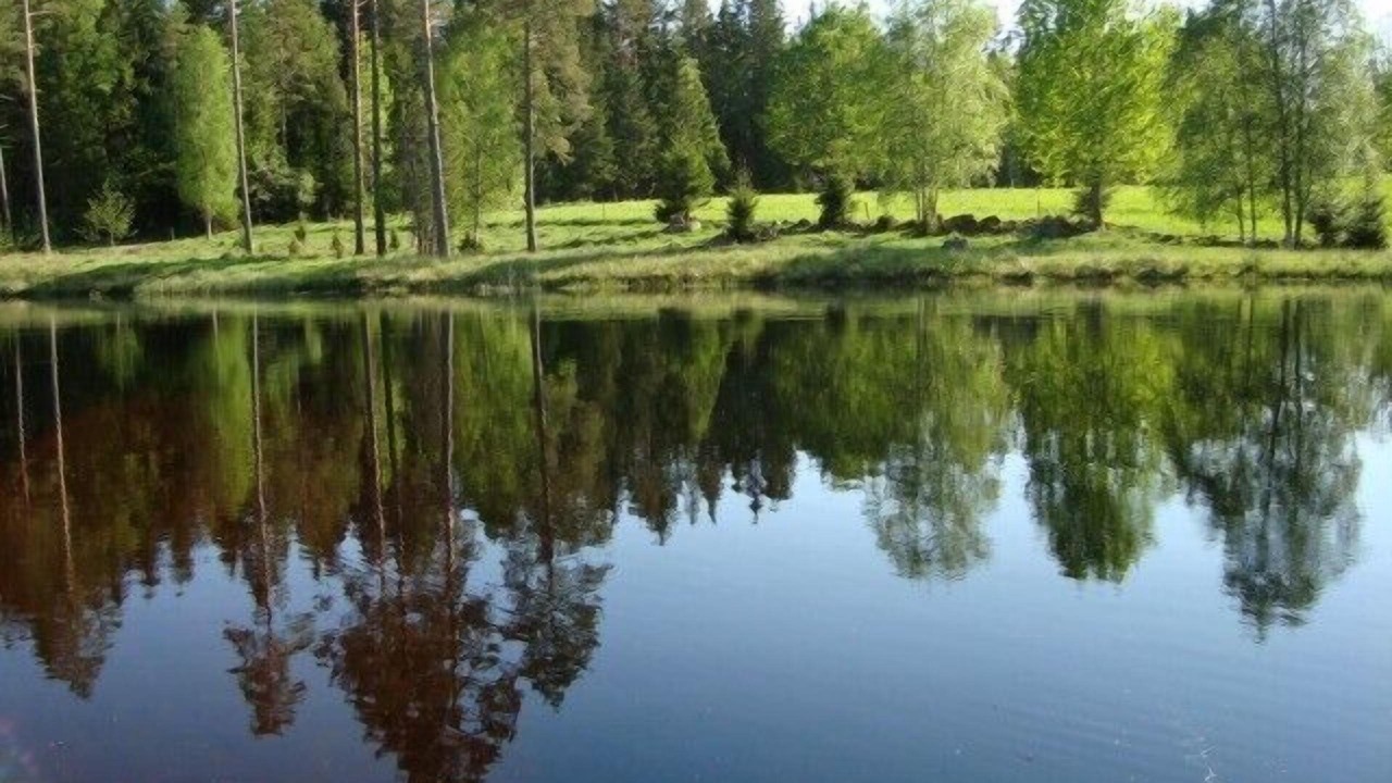 Photo of Outdoor in Savsjo Municipality