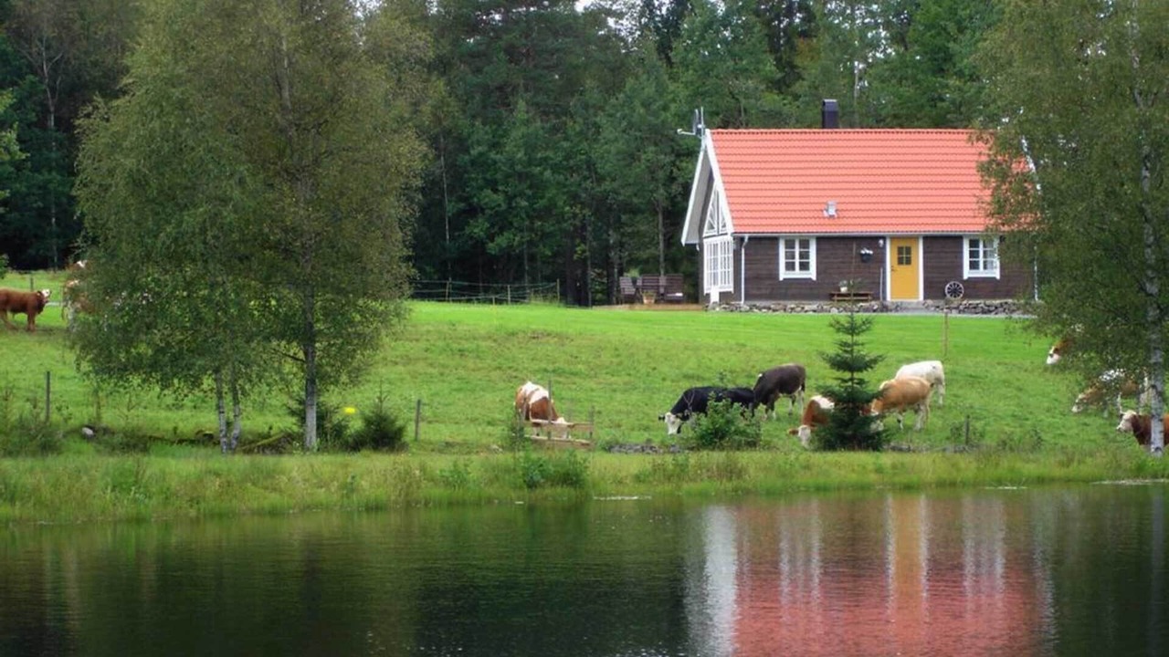 Photo of Outdoor in Savsjo Municipality