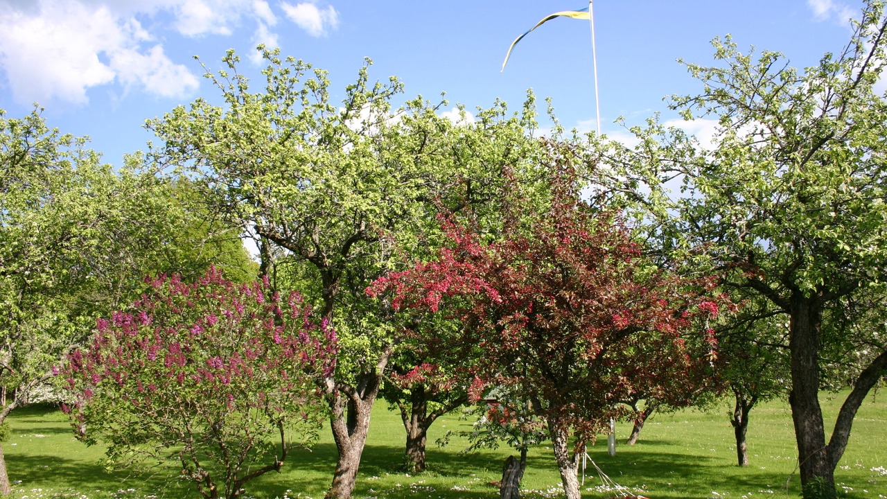 Photo of Outdoor in Hallstavik