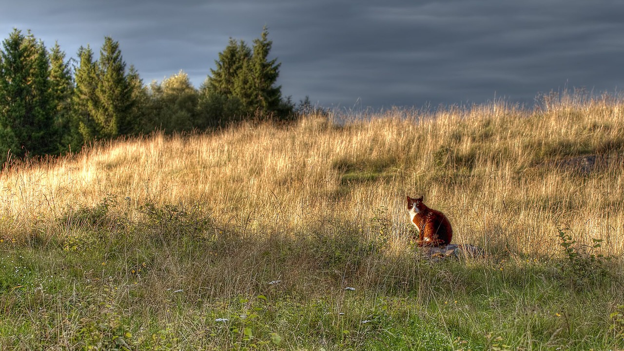 Photo of Outdoor in Orby