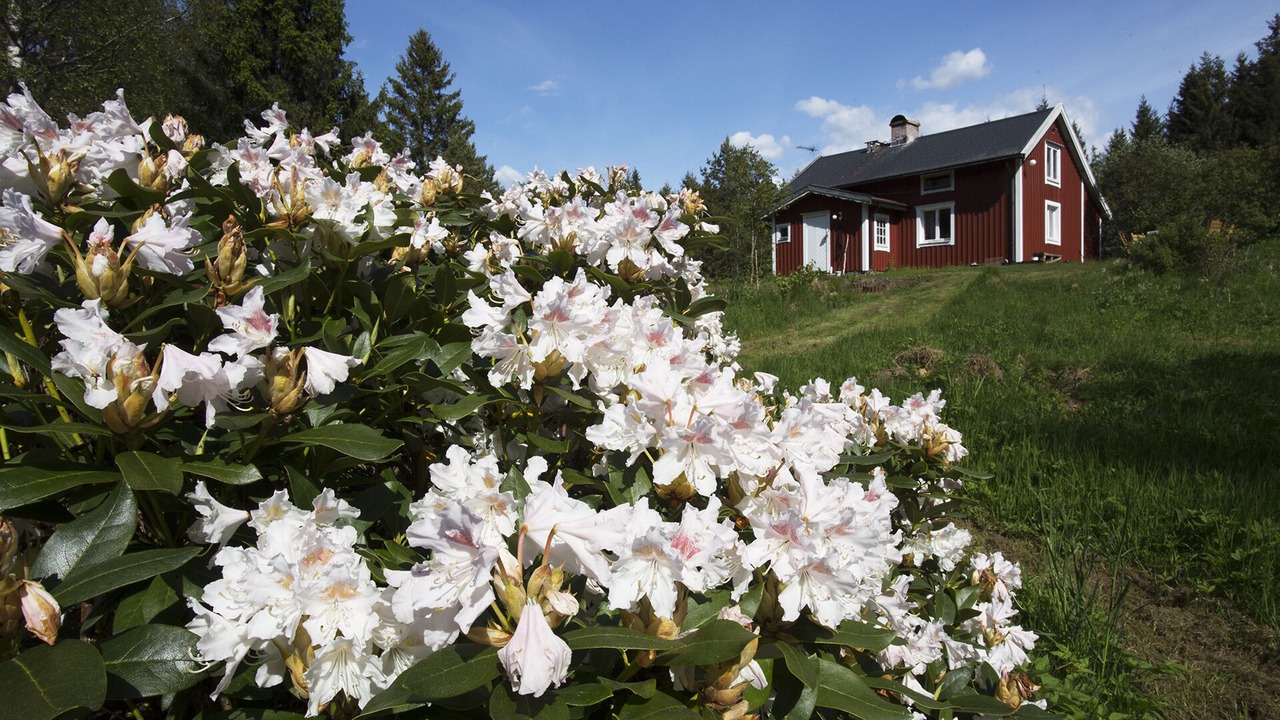 Photo of Outdoor in Orby