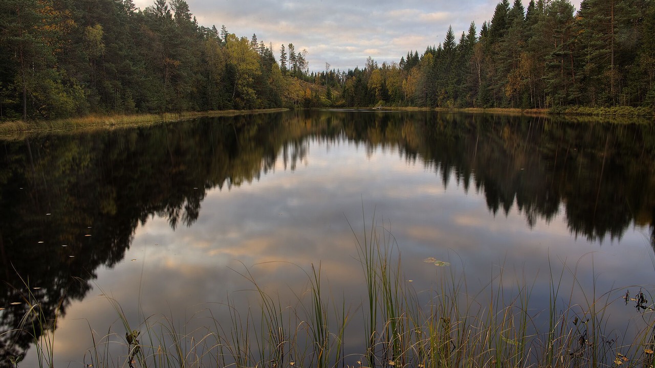 Photo of Outdoor in Orby