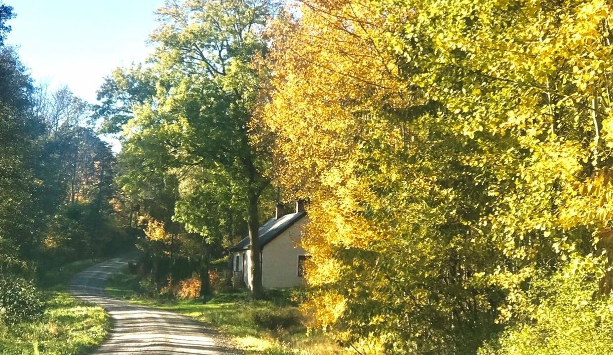 Photo of Outdoor in Vikbolandet