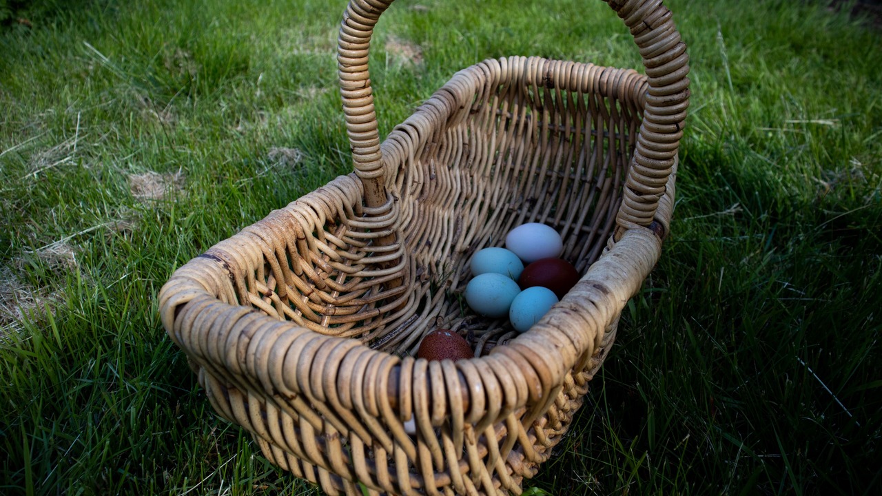 Photo of Outdoor in Skillingaryd