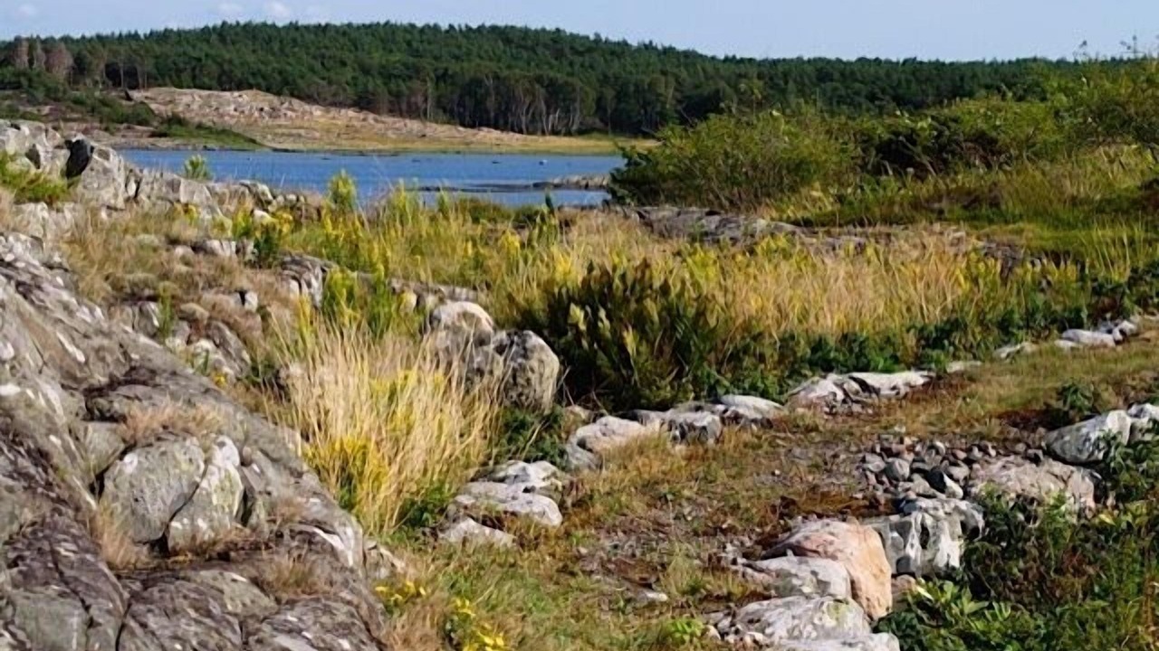 Photo of Outdoor in Kungsbacka Municipality