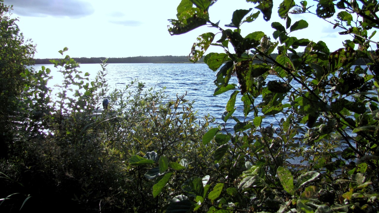Photo of Others in Ronninge