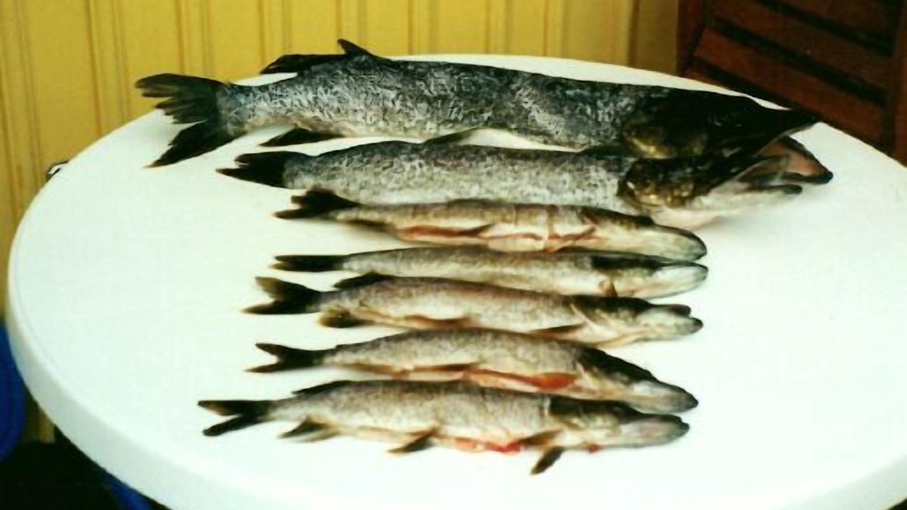 Photo of Others in Ronninge