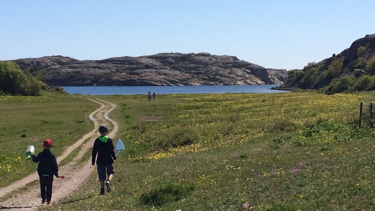 Photo of Others in Hamburgsund