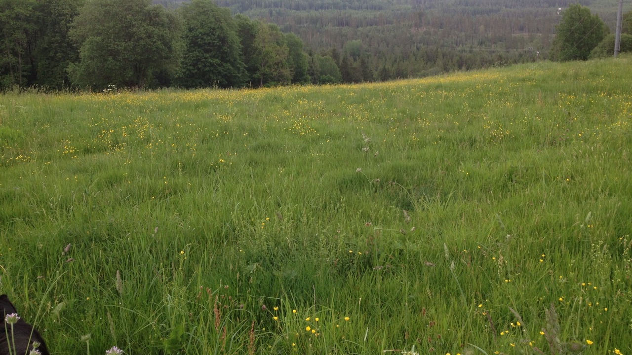 Photo of Outdoor in Skillingaryd