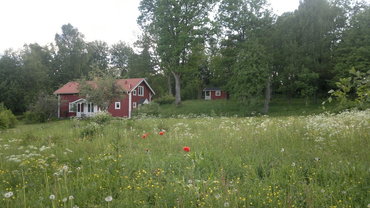 Photo of Outdoor in Skillingaryd