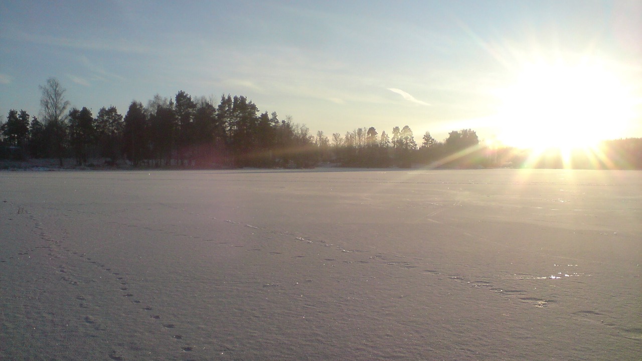 Photo of Others in Alvesta