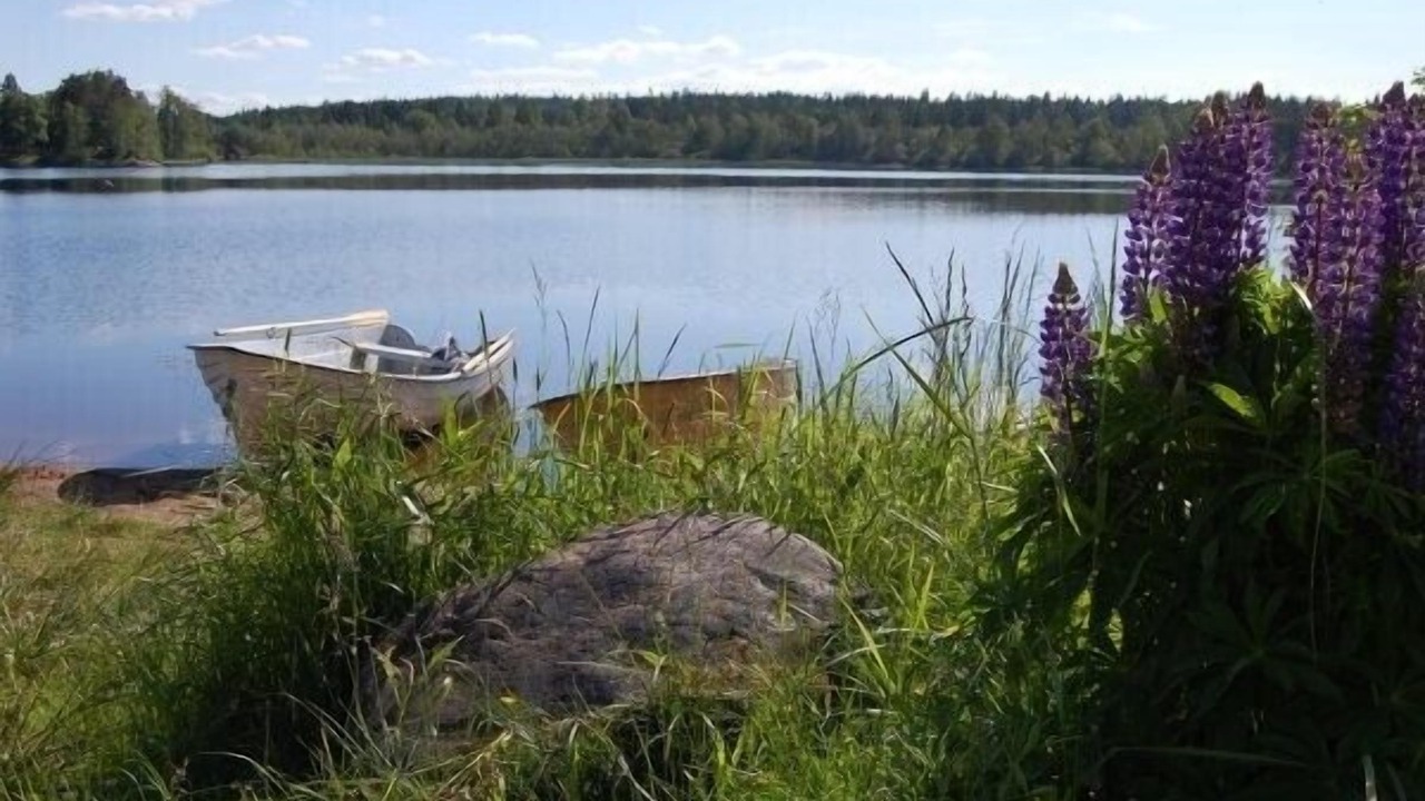 Photo of Outdoor in Alvesta