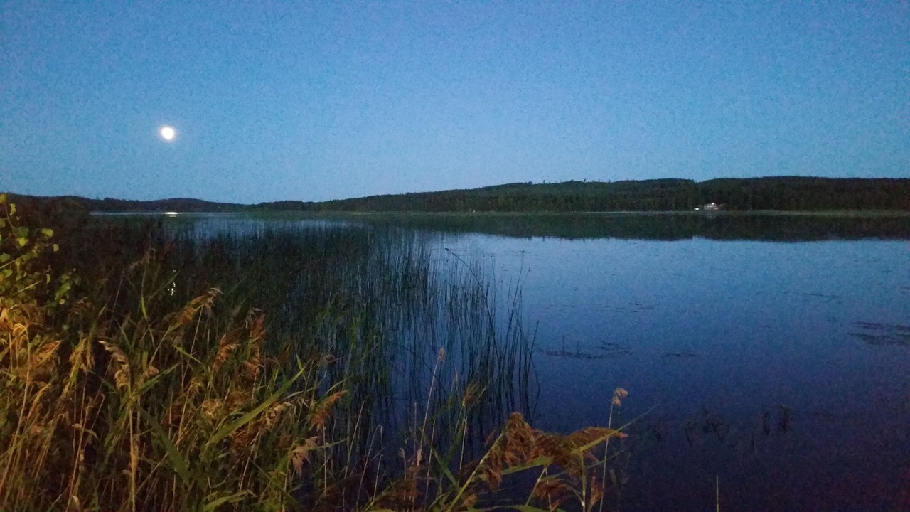 Photo of Others in Falun