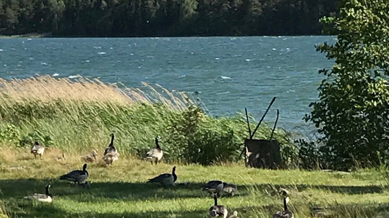 Photo of Others in Nykoping