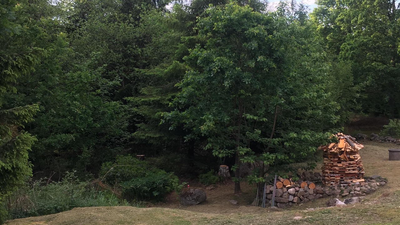 Photo of Others in Orkelljunga Municipality