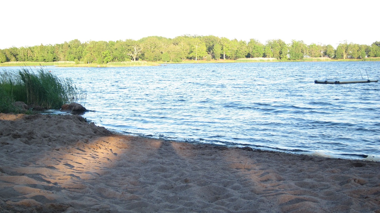 Photo of Others in Rockneby