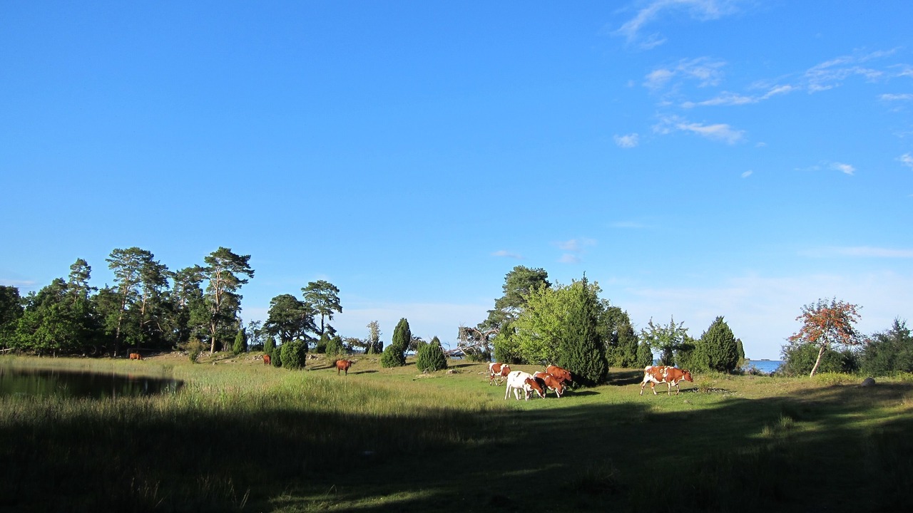 Photo of Others in Rockneby