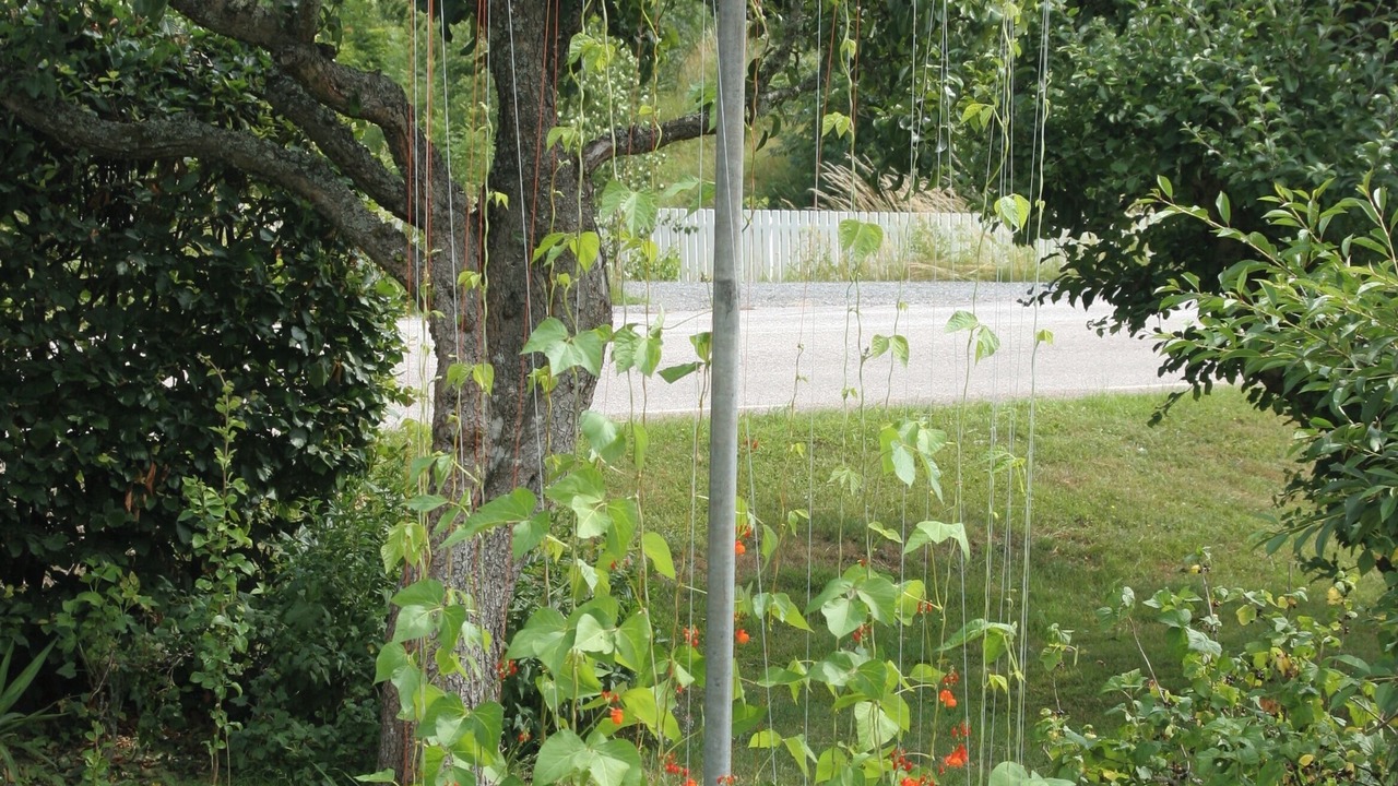 Photo of Outdoor in Gamleby