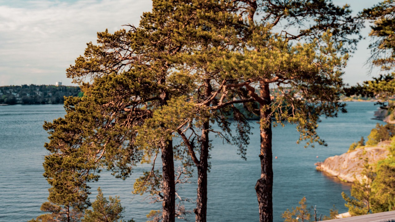 Photo of Outdoor in Gashaga