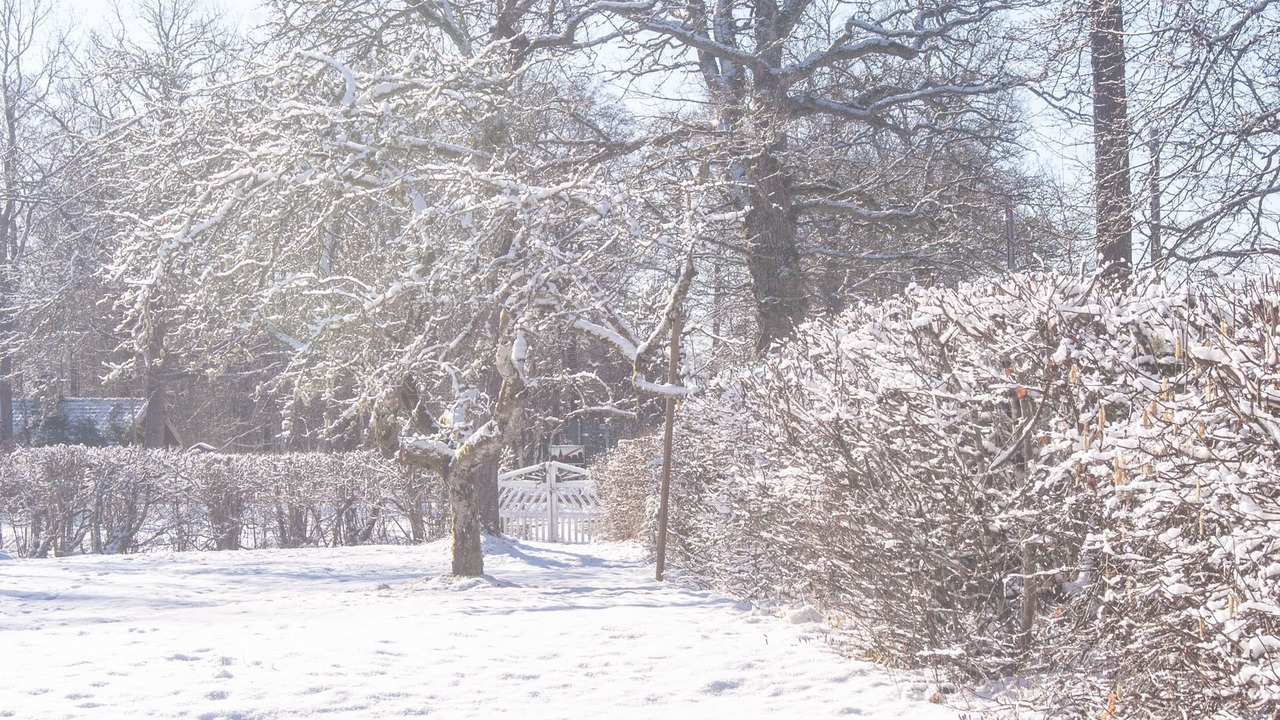 Photo of Outdoor in Stavsjo