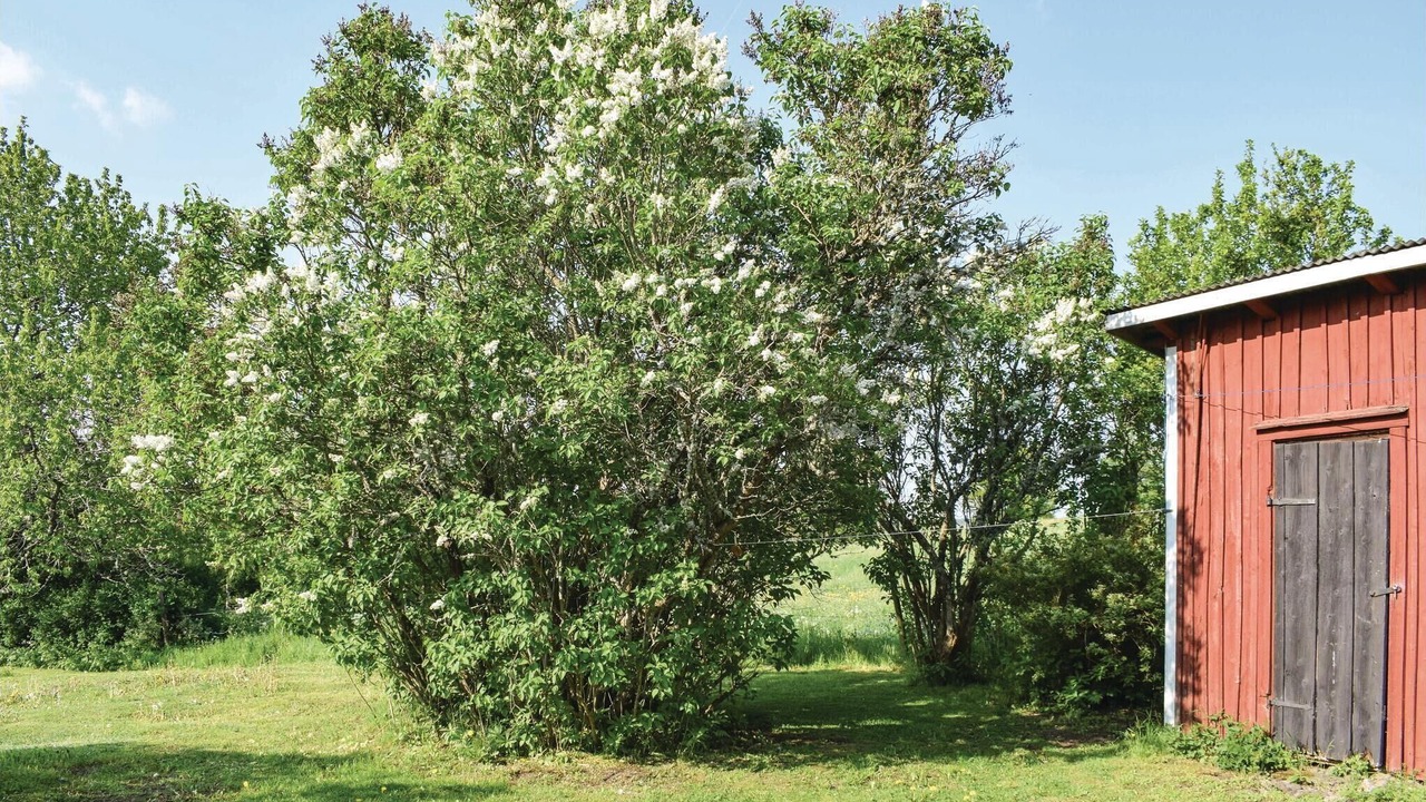 Photo of Others in Virserum