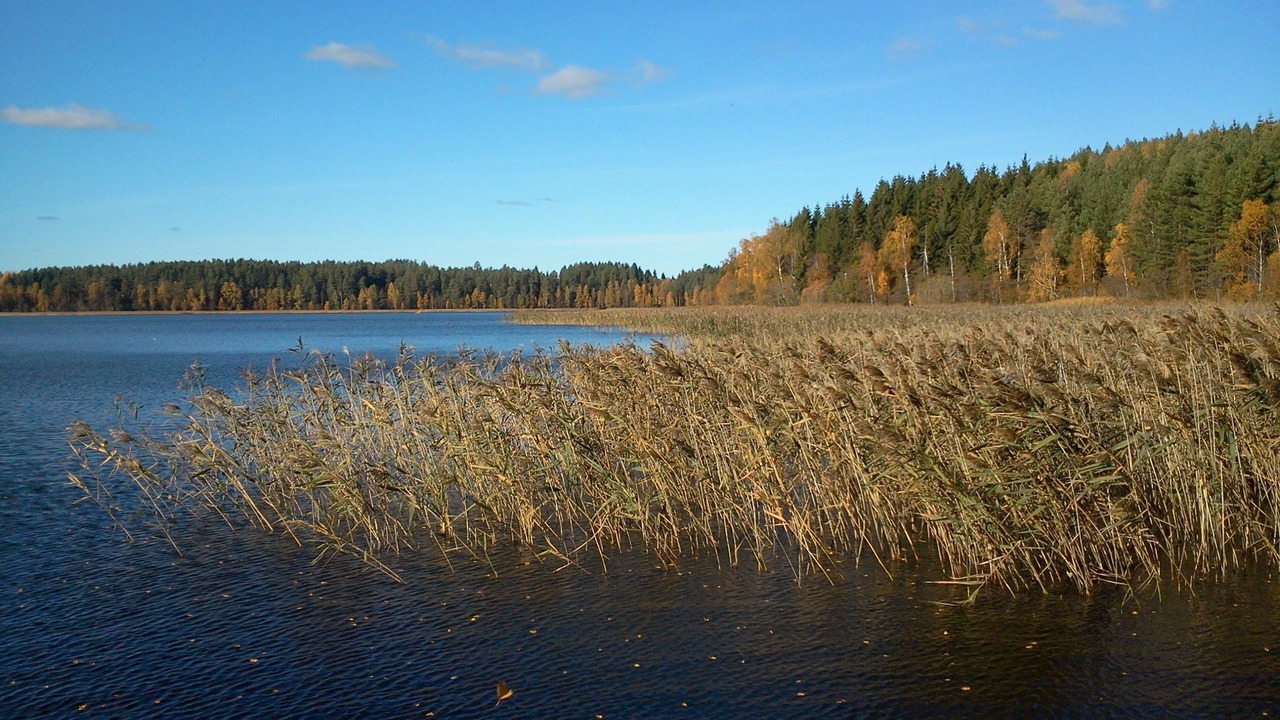 Photo of Others in Vimmerby Municipality