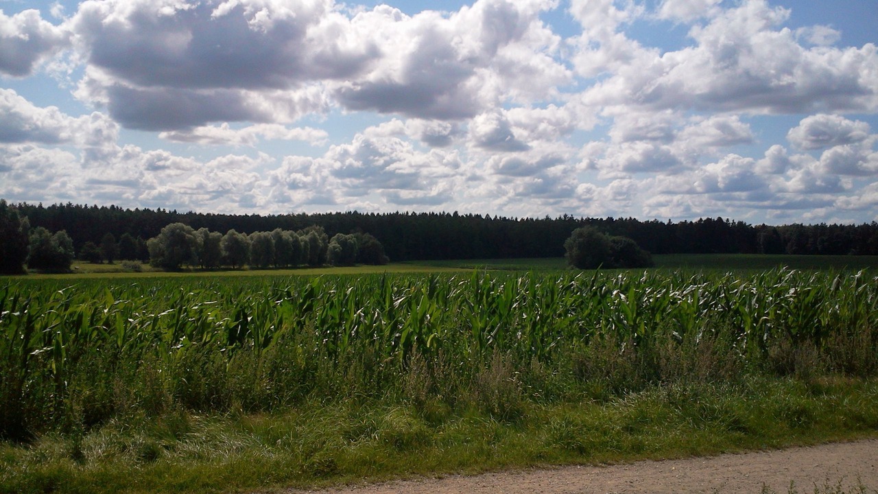Photo of Outdoor in Vimmerby Municipality