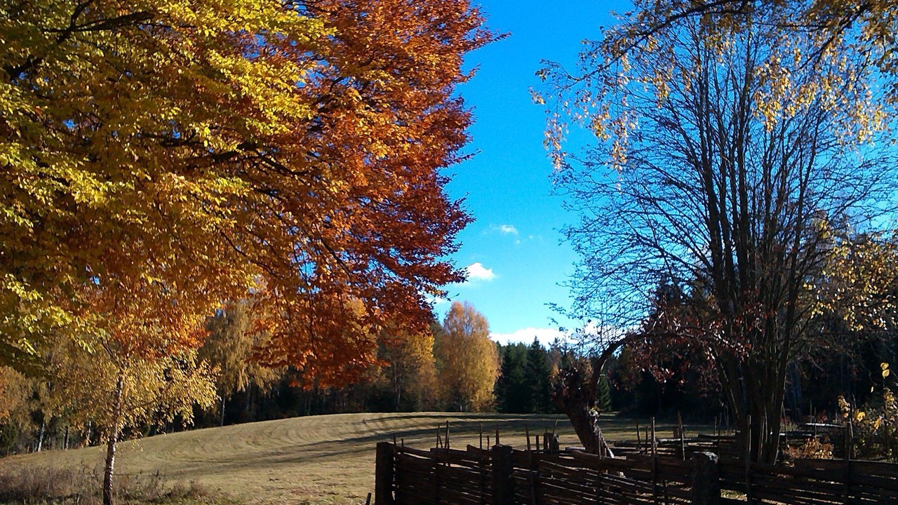 Photo of Outdoor in Vimmerby Municipality