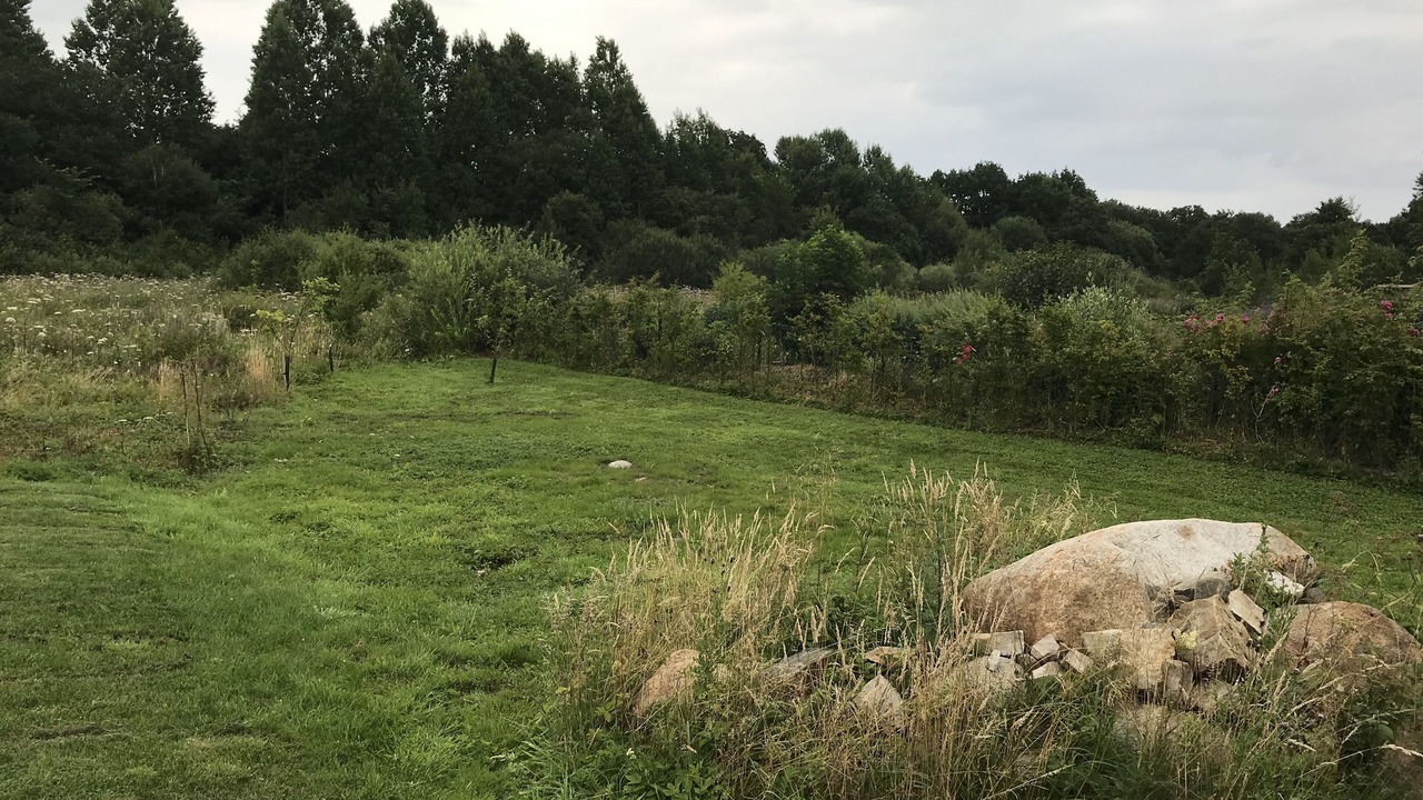Photo of Outdoor in Listarum