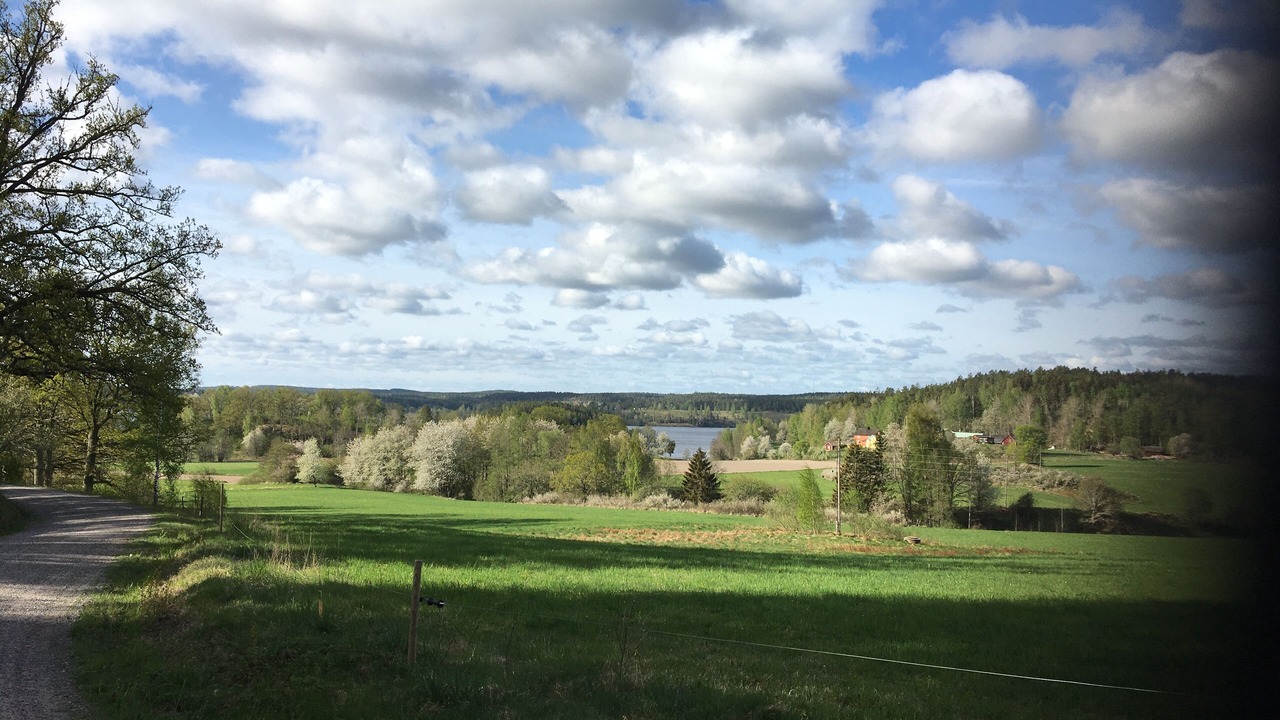 Photo of Others in Gamleby