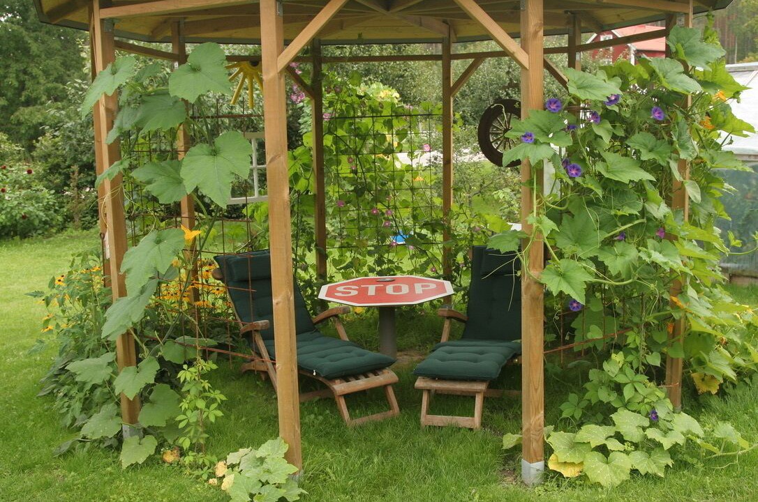 Photo of Outdoor in Gamleby