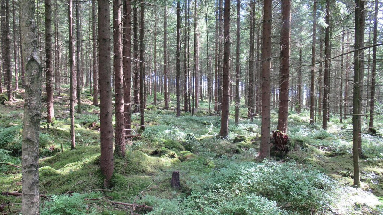 Photo of Others in Unnaryd