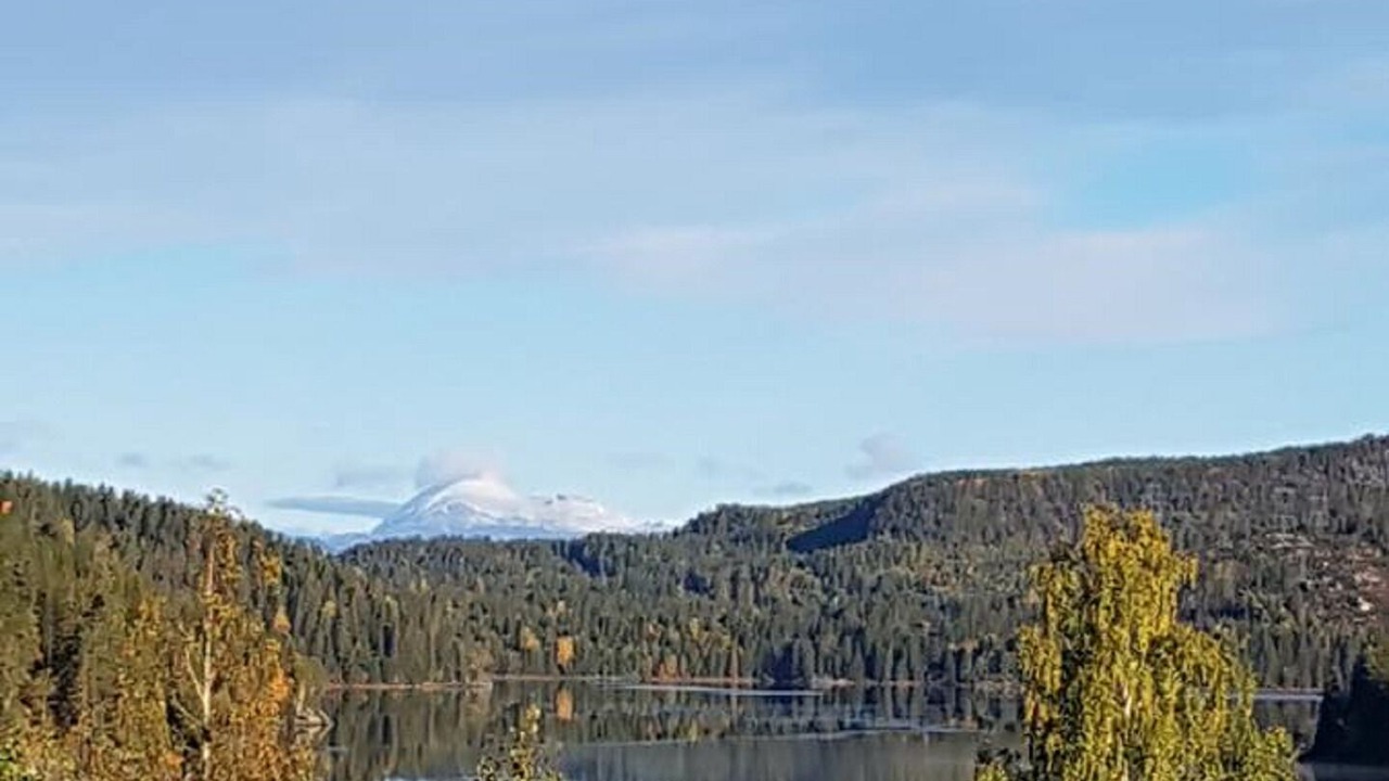 Photo of Others in B