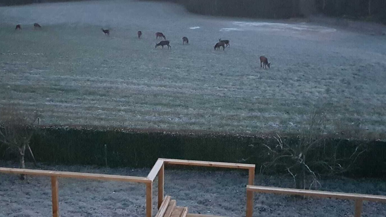 Photo of Others in Olofstrom