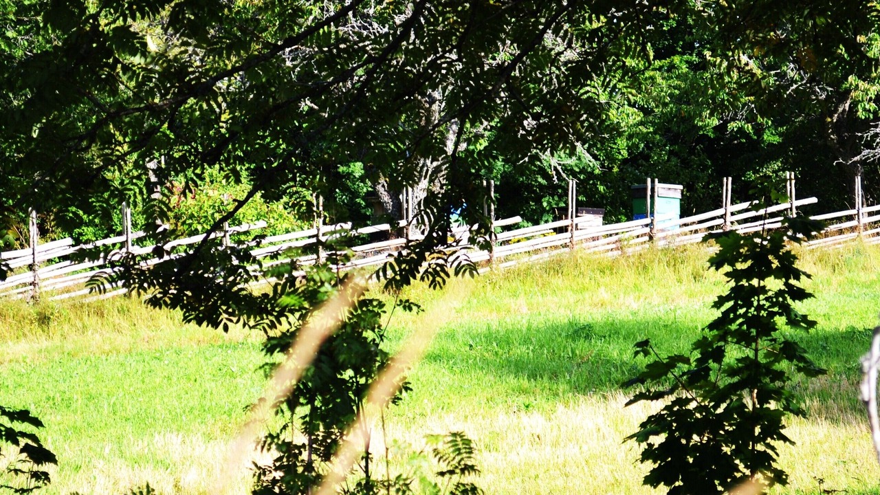 Photo of Outdoor in Savsjo