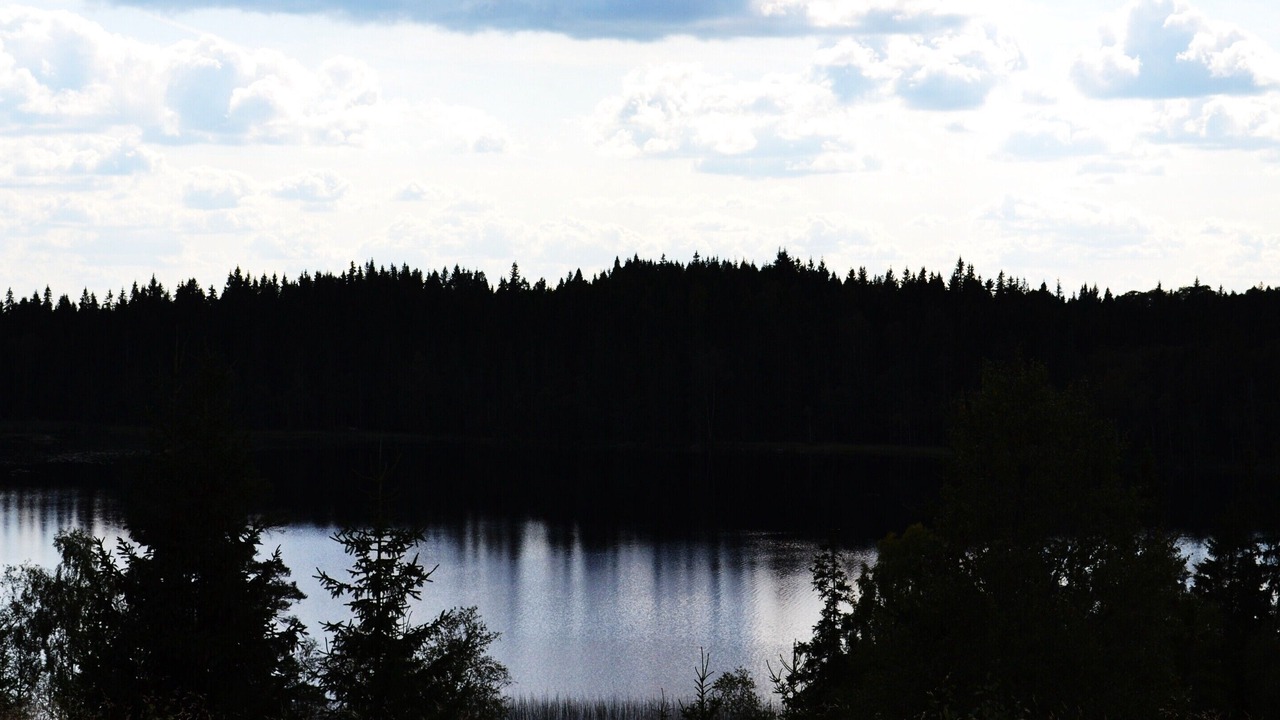 Photo of Others in Savsjo