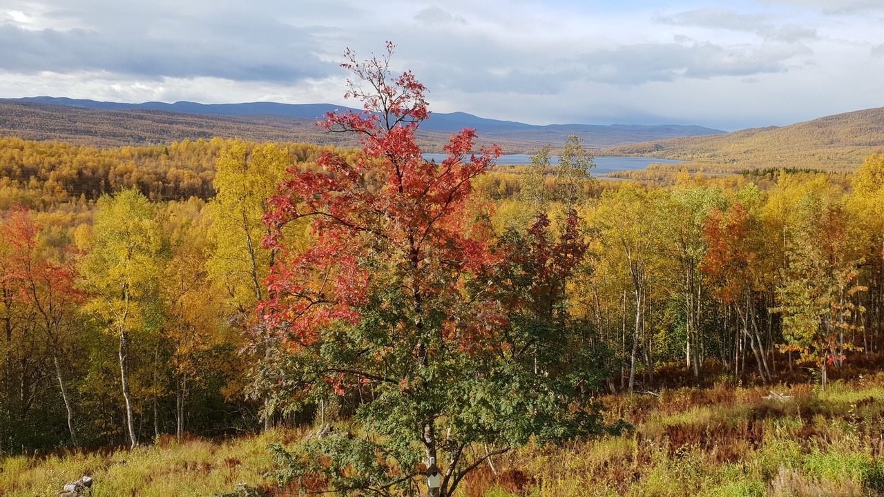 Photo of Outdoor in Tarnaby