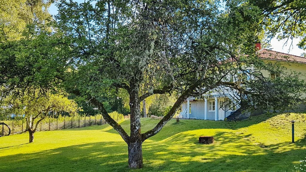 Photo of Outdoor in Kalv