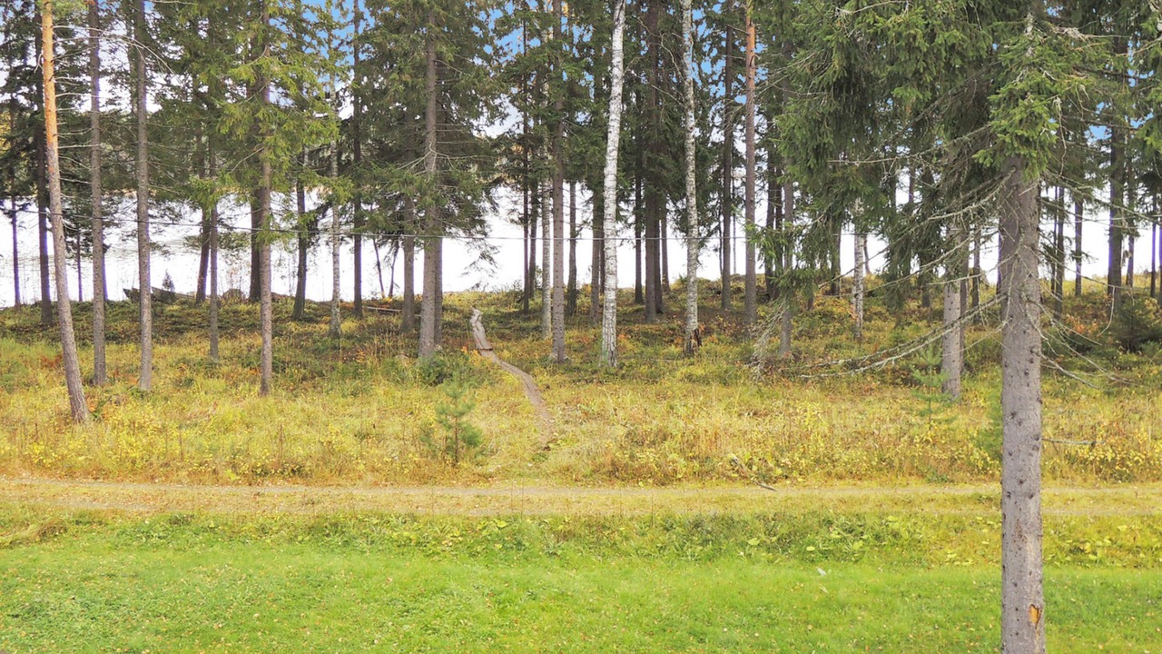 Photo of Others in Koli National Park