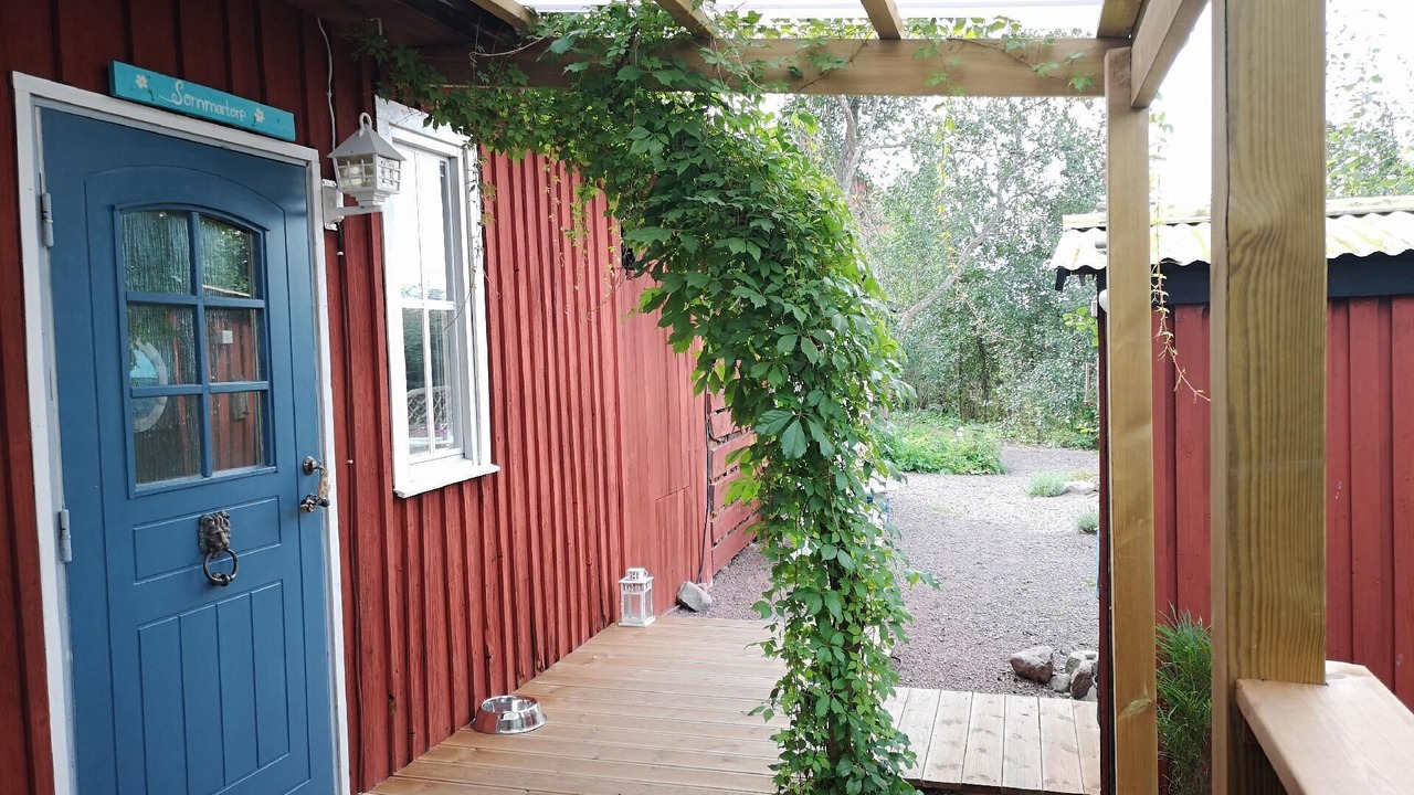 Photo of Outdoor in Monsteras