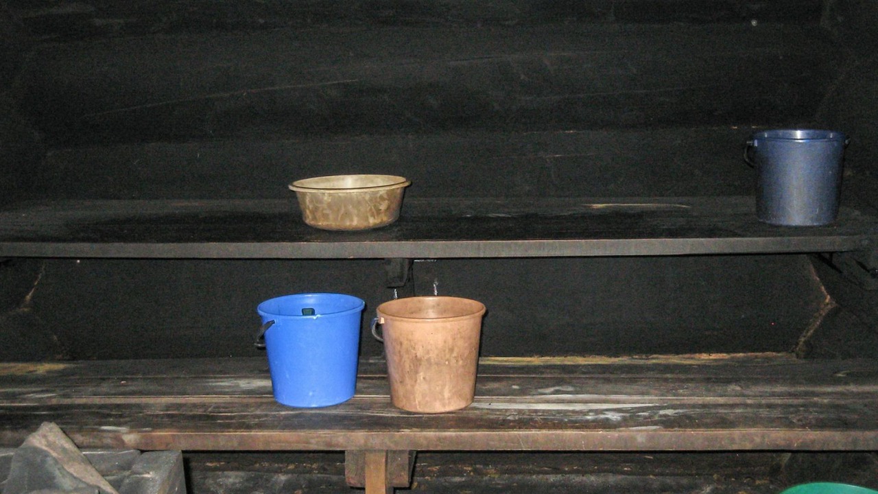 Photo of Others in Koli National Park