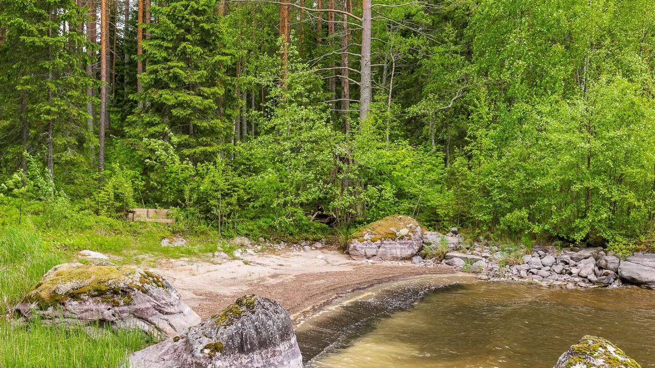 Photo of Others in Koli National Park
